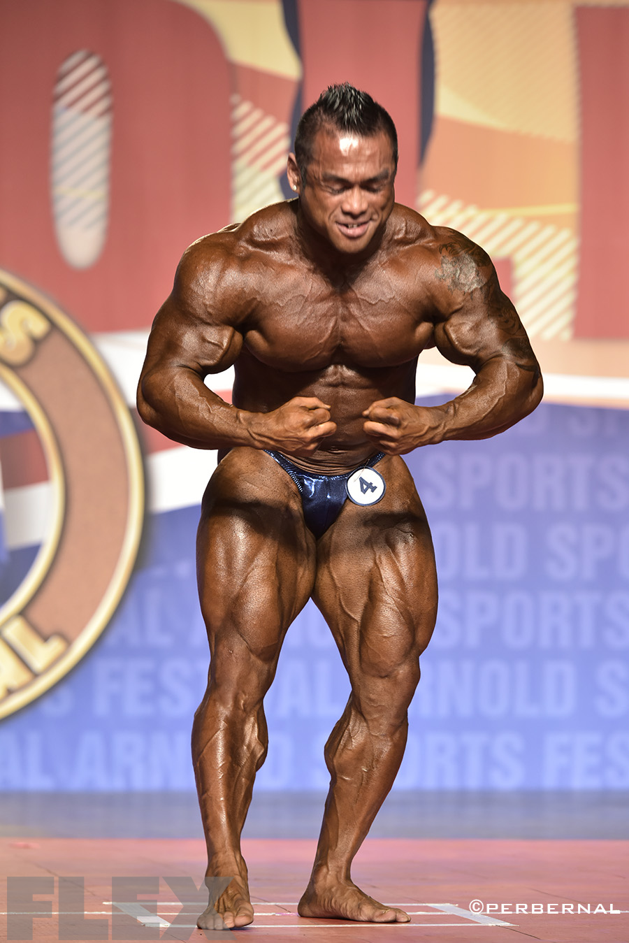 Hidetada Yamagishi - 2015 Arnold Classic 212