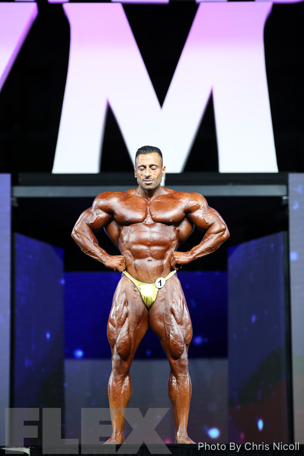 Ahmad Ahmad - 212 Bodybuilding - 2018 Olympia