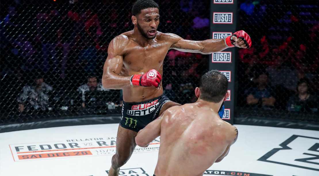 Bellator fighter and MMA fighter AJ McKee fighting in the octagon